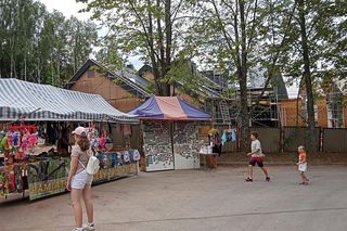 Dąb Bartek w Zagnańsku