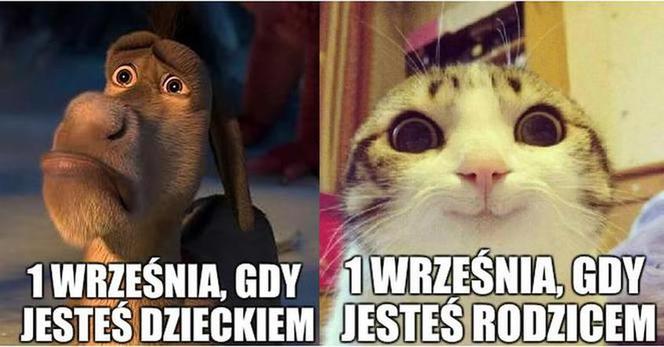 Uczniowie wracają do szkół. Zobacz najlepsze MEMY! Każdy się uśmieje 