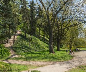 Park Stefana Żeromskiego 