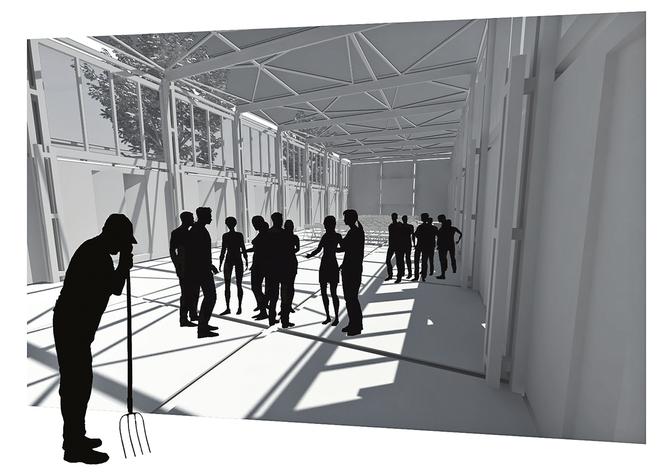 Nagroda Tygrysy 2017 