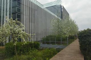 Tarasy Centrum Spotkania Kultur ponownie otwarte dla zwiedzających 