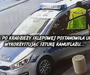Ukradła i schowała się przed policją za drzewem