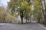 Zamojski Park jesienią