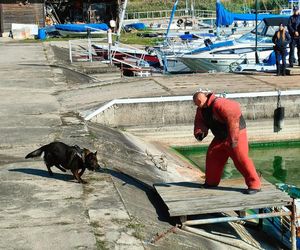 ćwiczenia nad Zalewem Sulejowskim