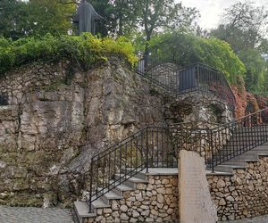 Ogród za kościołem św. Józefa w Krakowie