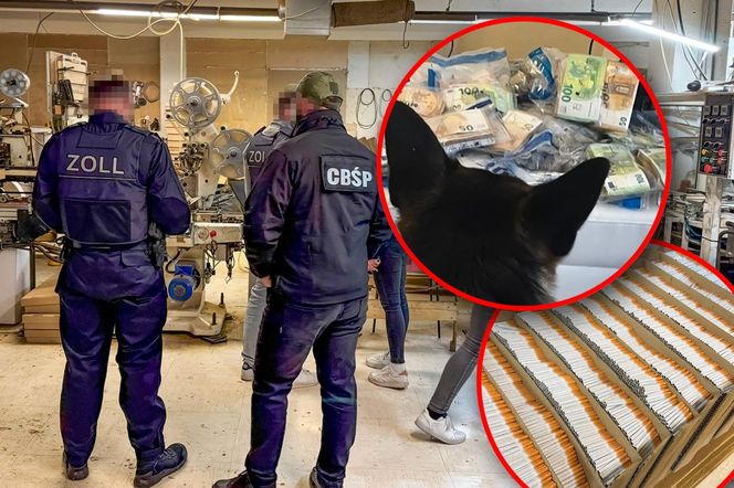 Nielegalna fabryka papierosów rozbita