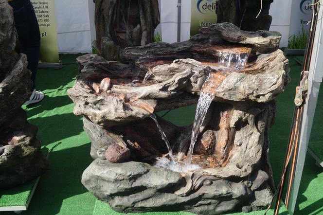 Wiosenny Kiermasz Ogrodniczy w Bydgoszczy [ZDJĘCIA]