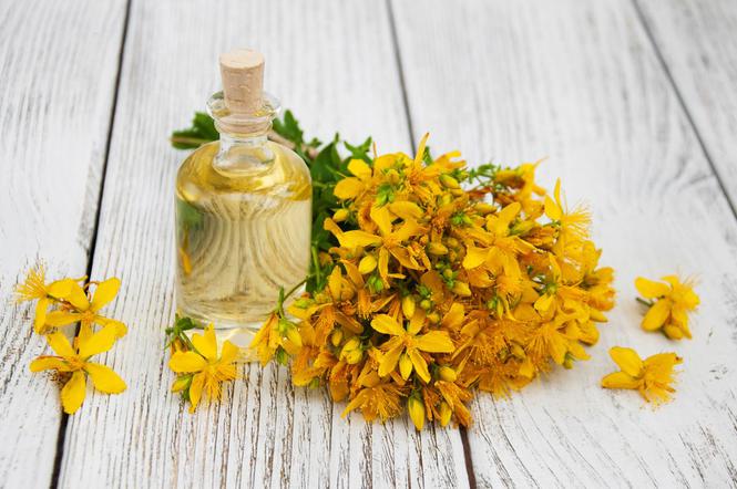 Dziurawiec zwyczajny