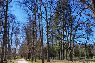 Nowa atrakcja turystyczna w Białowieży