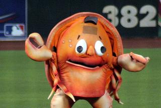 Crazy Crab, San Francisco 49ers