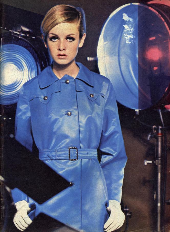 Twiggy 