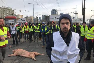 Protest rolników. Warszawa sparaliżowana. Świńskie łby i palenie opon w centrum [WIDEO]