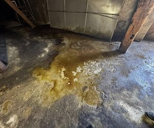 Kolejny raz w Inowrocławiu kwas siarkowy mógł trafić do kanalizacji. Oni działają jak mafia. Mogą być wszędzie