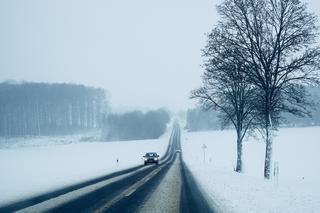 Pogoda na styczeń 2020. Kiedy spadnie śnieg w Olsztynie?