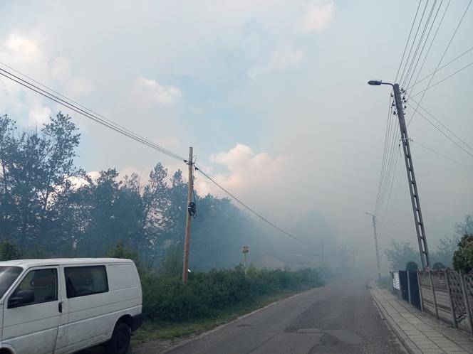 Pożar lasu w Miasteczku Śląskim