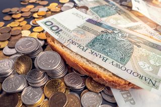Bezwarunkowy dochód podstawowy - zasiłek 1300 zł dla każdego Polaka! Od kiedy w Polsce? Jak dostać dochód bezwarunkowy?