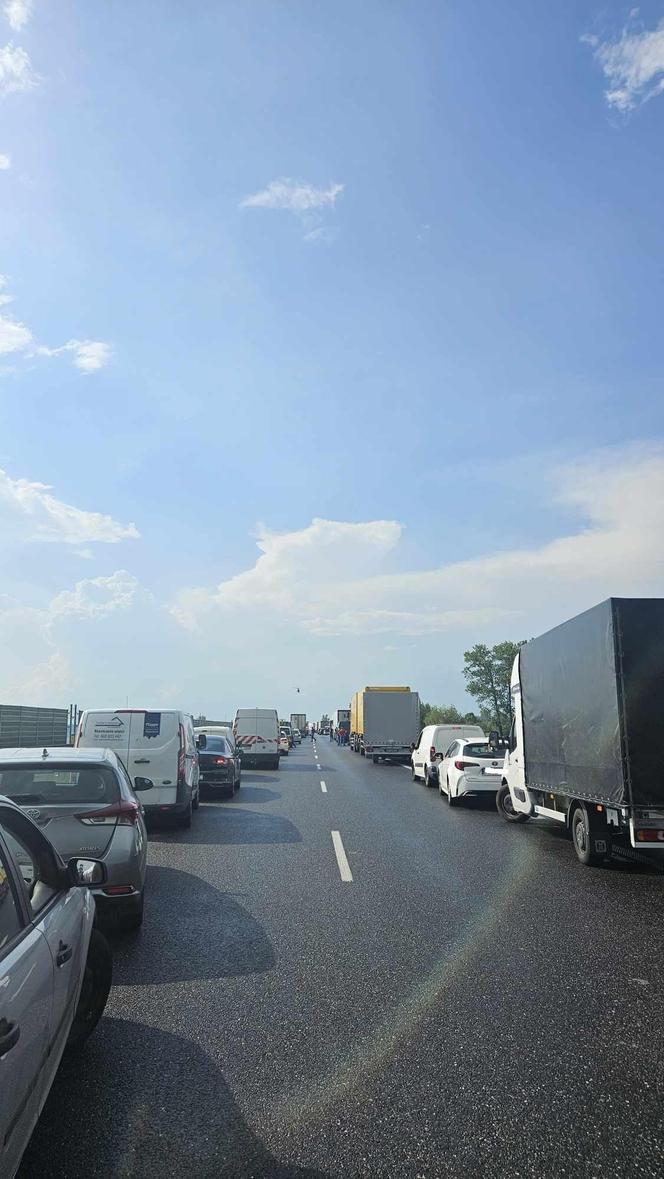 Groźny wypadek na autostradzie A2 w Wielkopolsce. Na miejscu lądował śmigłowiec LPR