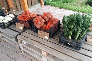 Wyjątkowy stragan z warzywami. Same się sprzedają [GALERIA]