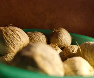 Popularne orzechy groźne dla zdrowia. Zwiększają ryzyko zachorowania na nowotwór jamy ustnej