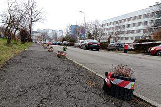 Tak się parkuje na Koszutce. Mieszkańcy mają dość