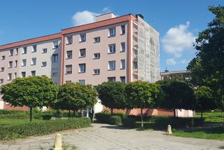 Na bloku przy ul. 17 Stycznia powstaje mural 