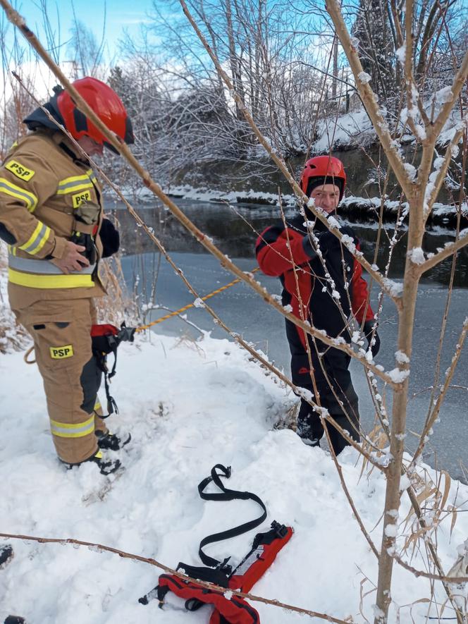 Strażacy uratowali psa uwięzionego w lodowatej rzece