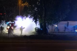 Potworny wypadek w Płocku. Wypadli z drogi, uderzyli w drzewo. Dwoje ludzi spłonęło w samochodzie	