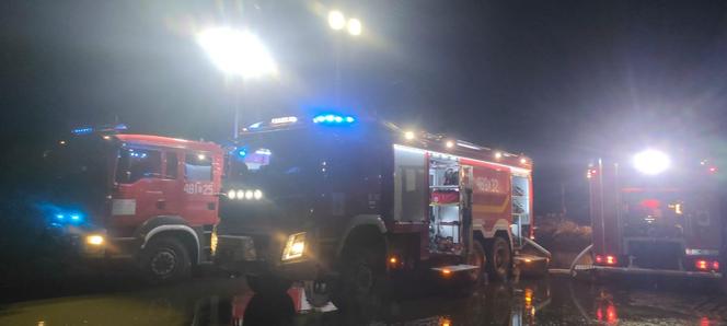 Ponad 60 krów spłonęł żywcem! Tragiczny pożar i milionowe straty [ZDJĘCIA]