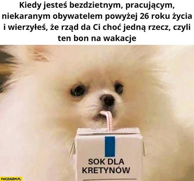 Bon turystyczny MEMY. "Kiedy jesteś bezdzietnym, pracującym obywatelem..." 