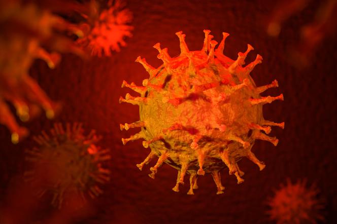 Jak można zarazić się koronawirusem z Chin?