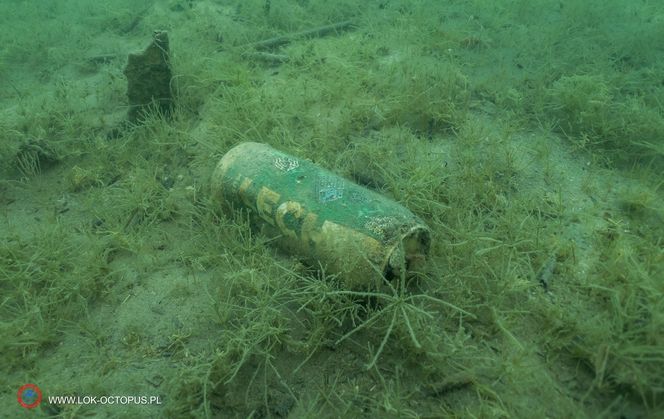 jezioro Tarnobrzeskie Niezwykła akcja płetwonurków