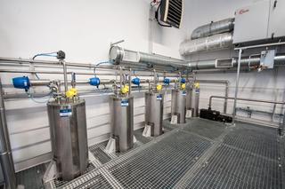  Onesano Yarrowia lipolytica