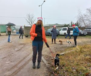 Bieg z seniorkiem - akcja schroniska w Hnerykowie dla podopiecznych psów