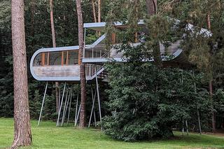 Wakacje w domku na drzewie - zdjęcia, ceny noclegu. Gdzie je znaleźć?