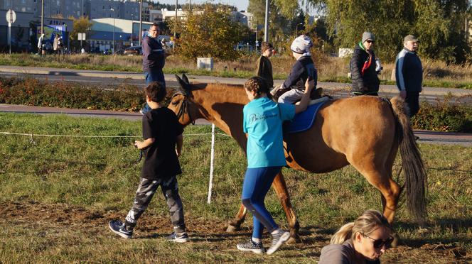 Piknik Wiejskiej Żywności w Fordonie [ZDJĘCIA]