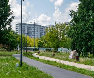 Odkrywkowa budowa tunelu tramwajowego pod parkiem Pięciu Sióstr na Ochocie