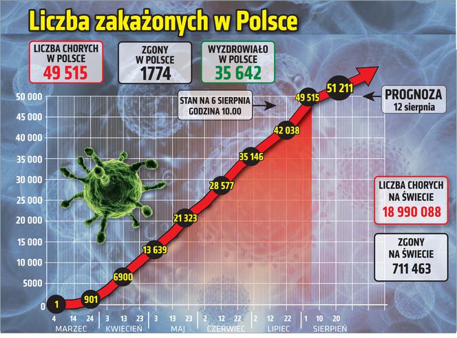 Koronawirus w Polsce. Wykresy, grafiki, statystyki (6 sierpnia)