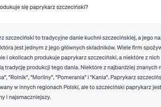 Chat GPT o Szczecinie 