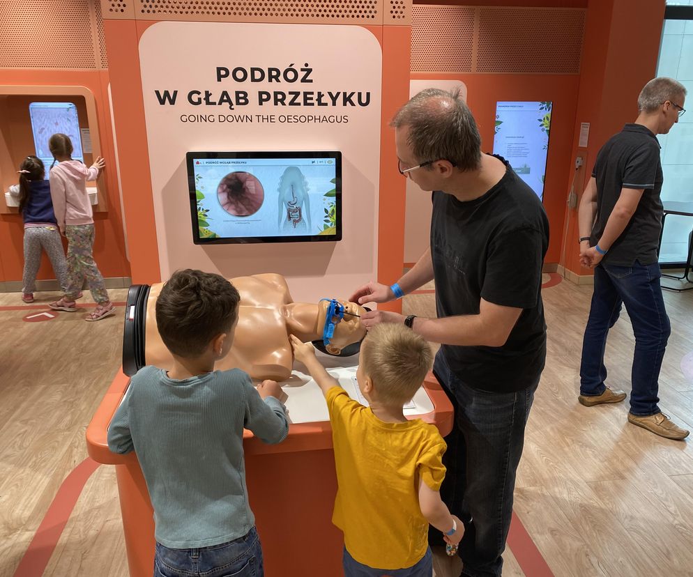 Słońce rządzi w Olsztynie! Wakacyjne spotkanie w Kortosferze 