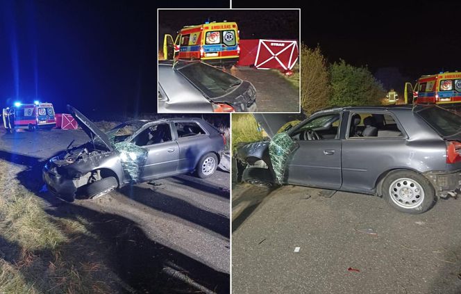 Śmiertelny wypadek pod Bełchatowem. 36-letek zderzył się z sarną [ZDJĘCIA].