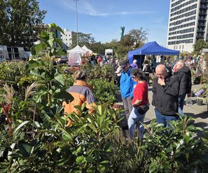Jesienny Kiermasz Ogrodniczy w Bydgoszczy przyciągnął miłośników zieleni i smakołyków!