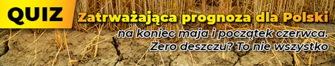 Zatrważająca prognoza dla Polski. Zero deszczu przez kilkanaście dni? To nie wszystko