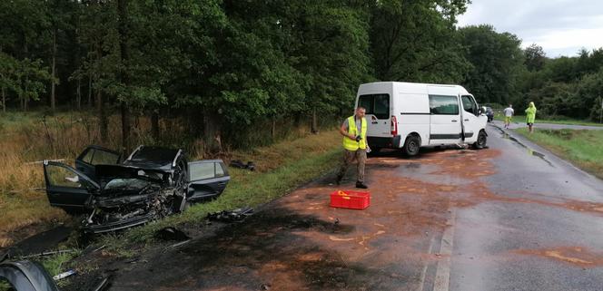 Siedem osób rannych, lądowały trzy śmigłowce. Wypadek pod Lesznem