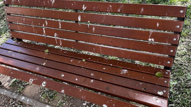 Park Lawendowy na osiedlu TBS w Białymstoku