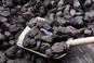Kwalifikowani Dostawcy Węgla - PGG tworzy sieć składów, gdzie kupimy taniej węgiel