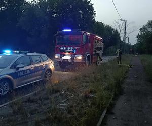 Sobotni pożar altany na ogródkach działkowych w Katowicach