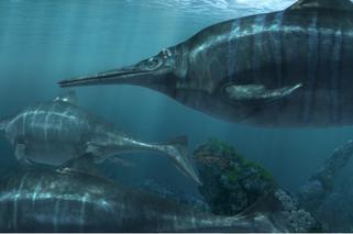 Edukacyjnie z Oceanarium 3D, prehistoryczne stwory morskie aktywizują się jesienią