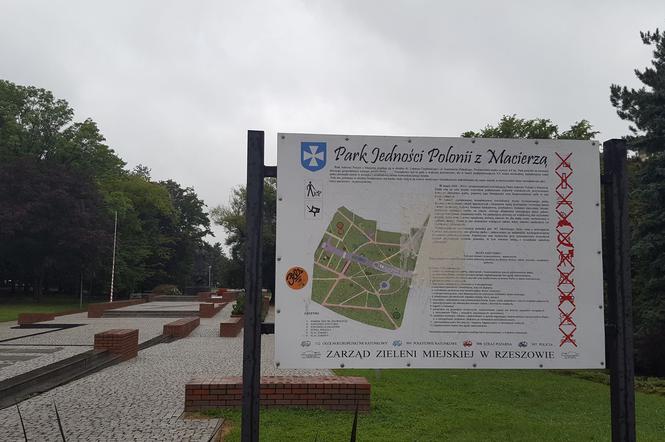 Rzeszów walczy ze szczurami w parku