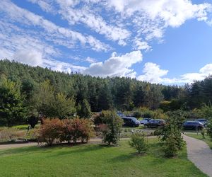 Zaczarowany ogród Alicji w Krainie Czarów i ścieżka spacerowa w lesie. Leśny Ogród Botaniczny Marszewo