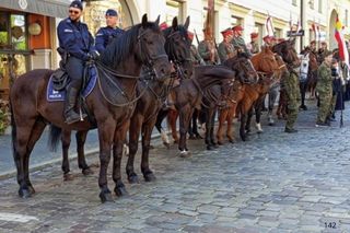 Dni Ułana 2025 w Poznaniu. Święto Pułkowe przyciągnęło tłumy